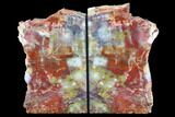 Tall, Arizona Petrified Wood Bookends - Red, Purple & Yellow #89340-1